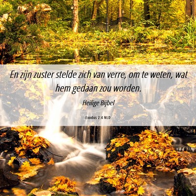 Picture 06 - Exodus 2:4 NLD - En zijn zuster stelde zich van verre, om te - Bible Verse Picture