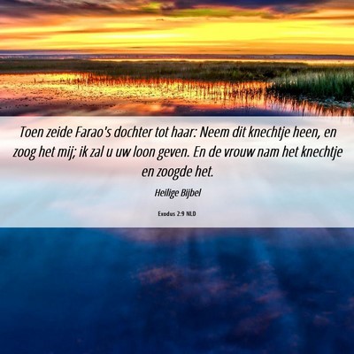 Picture 06 - Exodus 2:9 NLD - Toen zeide Farao's dochter tot haar: Neem dit - Bible Verse Picture