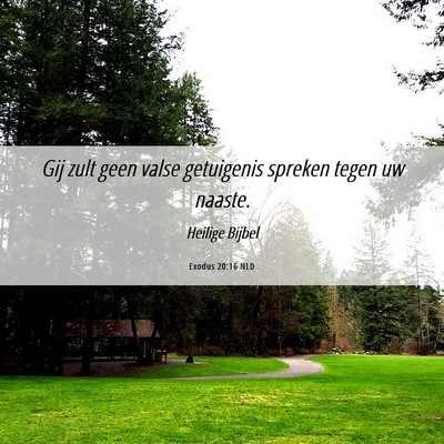 Picture 06 - Exodus 20:16 NLD - Gij zult geen valse getuigenis spreken tegen uw - Bible Verse Picture