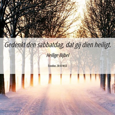 Picture 06 - Exodus 20:8 NLD - Gedenkt den sabbatdag, dat gij dien - Bible Verse Picture