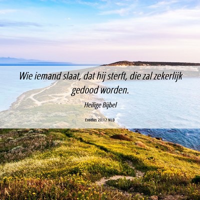 Picture 06 - Exodus 21:12 NLD - Wie iemand slaat, dat hij sterft, die zal - Bible Verse Picture