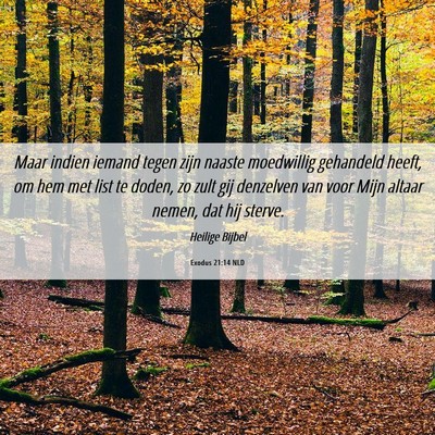Picture 06 - Exodus 21:14 NLD - Maar indien iemand tegen zijn naaste moedwillig - Bible Verse Picture