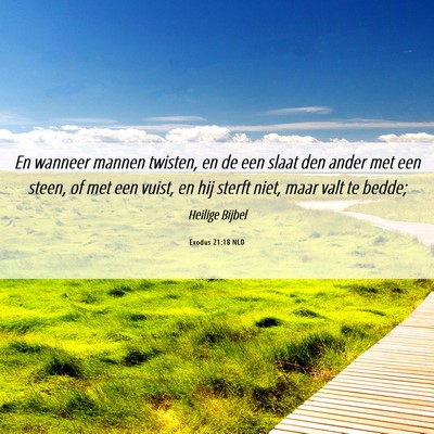 Picture 06 - Exodus 21:18 NLD - En wanneer mannen twisten, en de een slaat den - Bible Verse Picture