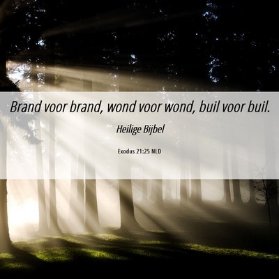 Picture 06 - Exodus 21:25 NLD - Brand voor brand, wond voor wond, buil voor - Bible Verse Picture