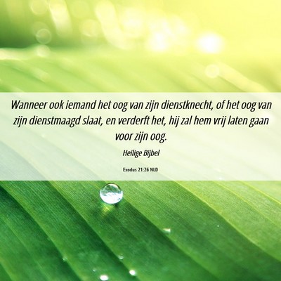 Picture 06 - Exodus 21:26 NLD - Wanneer ook iemand het oog van zijn dienstknecht, - Bible Verse Picture