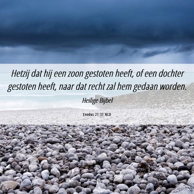 Picture 06 - Exodus 21:31 NLD - Hetzij dat hij een zoon gestoten heeft, of een - Bible Verse Picture