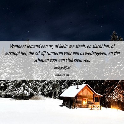 Picture 06 - Exodus 22:1 NLD - Wanneer iemand een os, of klein vee steelt, en - Bible Verse Picture