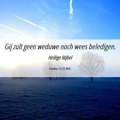 Picture 06 - Exodus 22:22 NLD - Gij zult geen weduwe noch wees - Bible Verse Picture