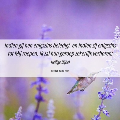 Picture 06 - Exodus 22:23 NLD - Indien gij hen enigszins beledigt, en indien zij - Bible Verse Picture
