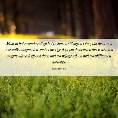 Picture 06 - Exodus 23:11 NLD - Maar in het zevende zult gij het rusten en stil - Bible Verse Picture
