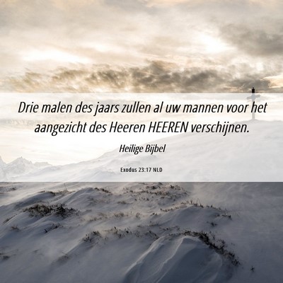 Picture 06 - Exodus 23:17 NLD - Drie malen des jaars zullen al uw mannen voor het - Bible Verse Picture