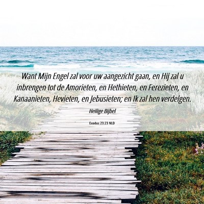 Picture 06 - Exodus 23:23 NLD - Want Mijn Engel zal voor uw aangezicht gaan, en - Bible Verse Picture
