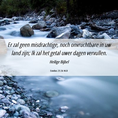 Picture 06 - Exodus 23:26 NLD - Er zal geen misdrachtige, noch onvruchtbare in uw - Bible Verse Picture