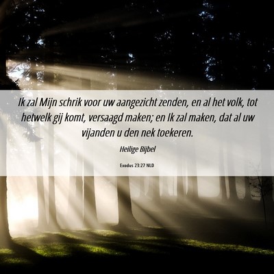 Picture 06 - Exodus 23:27 NLD - Ik zal Mijn schrik voor uw aangezicht zenden, en - Bible Verse Picture