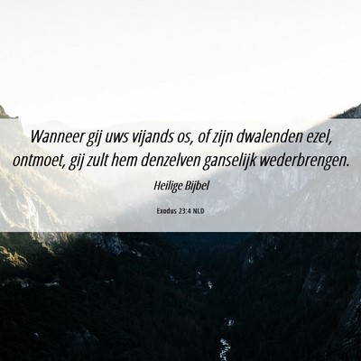 Picture 06 - Exodus 23:4 NLD - Wanneer gij uws vijands os, of zijn dwalenden - Bible Verse Picture