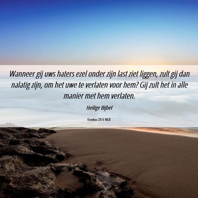Picture 06 - Exodus 23:5 NLD - Wanneer gij uws haters ezel onder zijn last ziet - Bible Verse Picture
