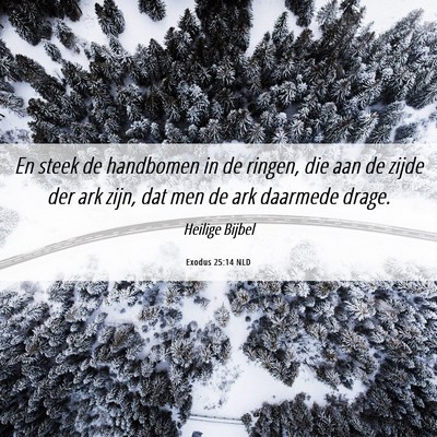 Picture 06 - Exodus 25:14 NLD - En steek de handbomen in de ringen, die aan de - Bible Verse Picture