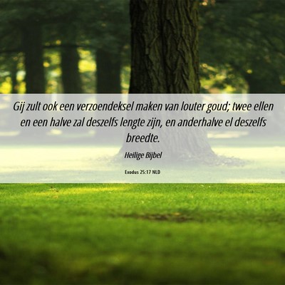 Picture 06 - Exodus 25:17 NLD - Gij zult ook een verzoendeksel maken van louter - Bible Verse Picture