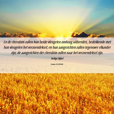 Picture 06 - Exodus 25:20 NLD - En de cherubim zullen hun beide vleugelen omhoog - Bible Verse Picture