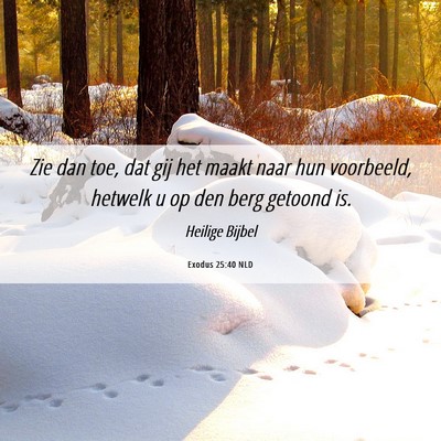 Picture 06 - Exodus 25:40 NLD - Zie dan toe, dat gij het maakt naar hun - Bible Verse Picture