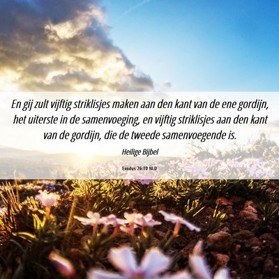 Picture 06 - Exodus 26:10 NLD - En gij zult vijftig striklisjes maken aan den - Bible Verse Picture