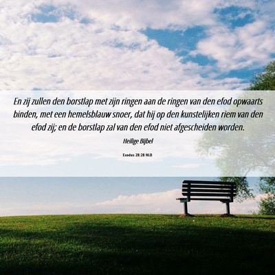 Picture 06 - Exodus 28:28 NLD - En zij zullen den borstlap met zijn ringen aan de - Bible Verse Picture