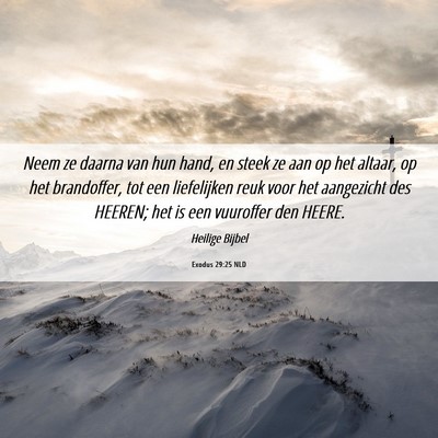 Picture 06 - Exodus 29:25 NLD - Neem ze daarna van hun hand, en steek ze aan op - Bible Verse Picture