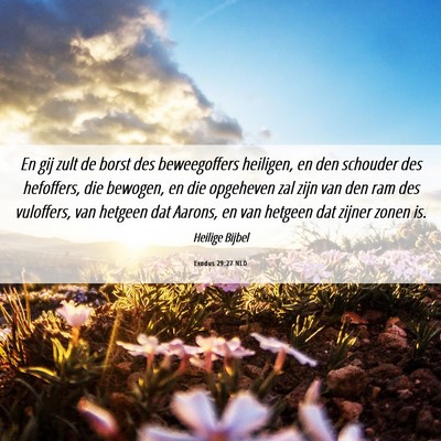 Picture 06 - Exodus 29:27 NLD - En gij zult de borst des beweegoffers heiligen, - Bible Verse Picture