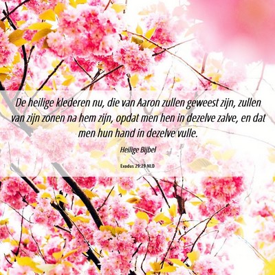 Picture 06 - Exodus 29:29 NLD - De heilige klederen nu, die van Aaron zullen - Bible Verse Picture