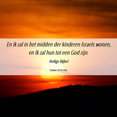 Picture 06 - Exodus 29:45 NLD - En Ik zal in het midden der kinderen Israels - Bible Verse Picture