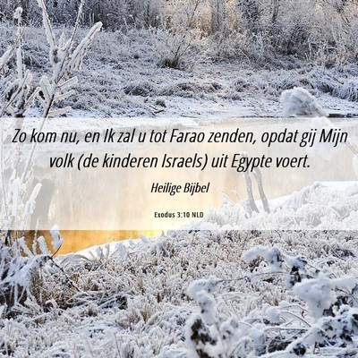 Picture 06 - Exodus 3:10 NLD - Zo kom nu, en Ik zal u tot Farao zenden, opdat - Bible Verse Picture