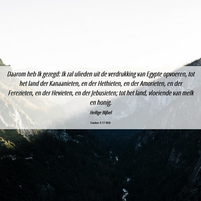 Picture 06 - Exodus 3:17 NLD - Daarom heb Ik gezegd: Ik zal ulieden uit de - Bible Verse Picture