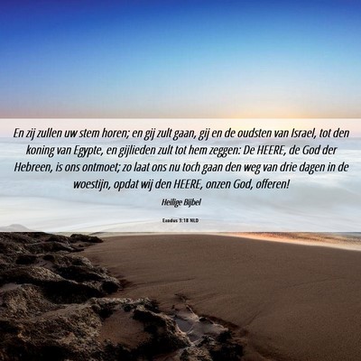 Picture 06 - Exodus 3:18 NLD - En zij zullen uw stem horen; en gij zult gaan, - Bible Verse Picture