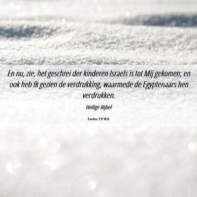 Picture 06 - Exodus 3:9 NLD - En nu, zie, het geschrei der kinderen Israels is - Bible Verse Picture