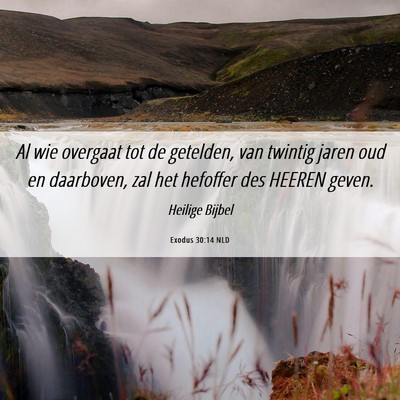 Picture 06 - Exodus 30:14 NLD - Al wie overgaat tot de getelden, van twintig - Bible Verse Picture