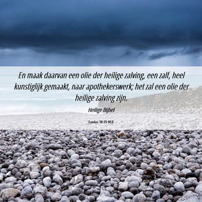 Picture 06 - Exodus 30:25 NLD - En maak daarvan een olie der heilige zalving, een - Bible Verse Picture