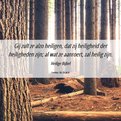 Picture 06 - Exodus 30:29 NLD - Gij zult ze alzo heiligen, dat zij heiligheid der - Bible Verse Picture