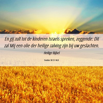 Picture 06 - Exodus 30:31 NLD - En gij zult tot de kinderen Israels spreken, - Bible Verse Picture