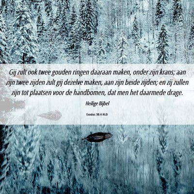 Picture 06 - Exodus 30:4 NLD - Gij zult ook twee gouden ringen daaraan maken, - Bible Verse Picture