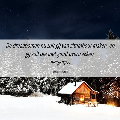 Picture 06 - Exodus 30:5 NLD - De draagbomen nu zult gij van sittimhout maken, - Bible Verse Picture