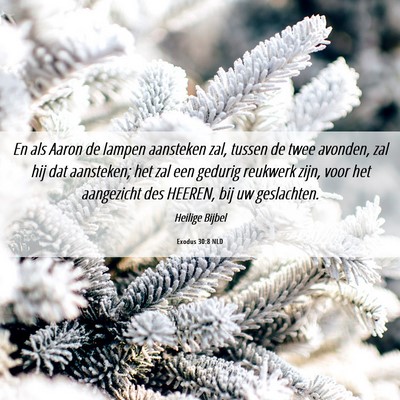 Picture 06 - Exodus 30:8 NLD - En als Aaron de lampen aansteken zal, tussen de - Bible Verse Picture