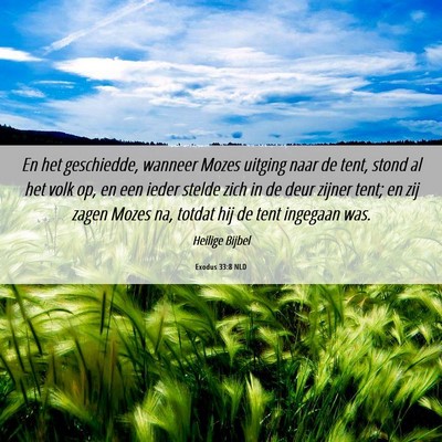 Picture 06 - Exodus 33:8 NLD - En het geschiedde, wanneer Mozes uitging naar de - Bible Verse Picture