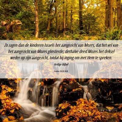 Picture 06 - Exodus 34:35 NLD - Zo zagen dan de kinderen Israels het aangezicht - Bible Verse Picture