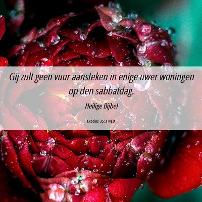 Picture 06 - Exodus 35:3 NLD - Gij zult geen vuur aansteken in enige uwer - Bible Verse Picture