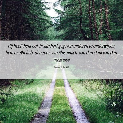 Picture 06 - Exodus 35:34 NLD - Hij heeft hem ook in zijn hart gegeven anderen te - Bible Verse Picture