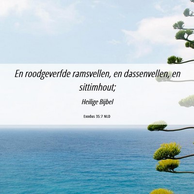 Picture 06 - Exodus 35:7 NLD - En roodgeverfde ramsvellen, en dassenvellen, en - Bible Verse Picture