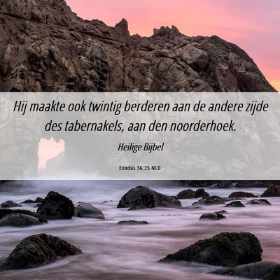 Picture 06 - Exodus 36:25 NLD - Hij maakte ook twintig berderen aan de andere - Bible Verse Picture