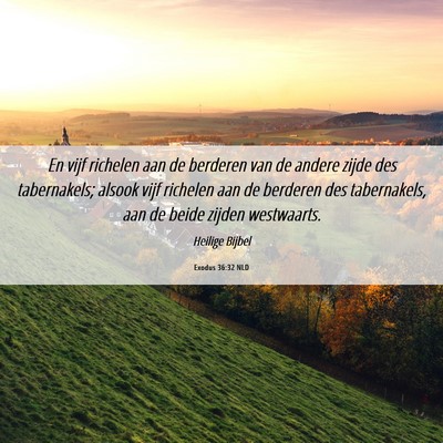 Picture 06 - Exodus 36:32 NLD - En vijf richelen aan de berderen van de andere - Bible Verse Picture