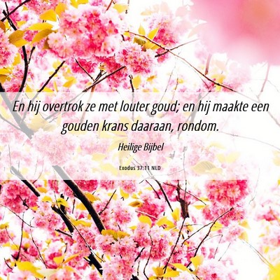 Picture 06 - Exodus 37:11 NLD - En hij overtrok ze met louter goud; en hij maakte - Bible Verse Picture
