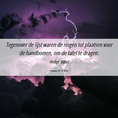 Picture 06 - Exodus 37:14 NLD - Tegenover de lijst waren de ringen tot plaatsen - Bible Verse Picture